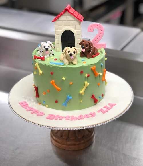 Animal Theme Cakes